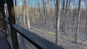 A view through a window with a mesh screen, displaying a forested area with bare trees and a clear blue sky.