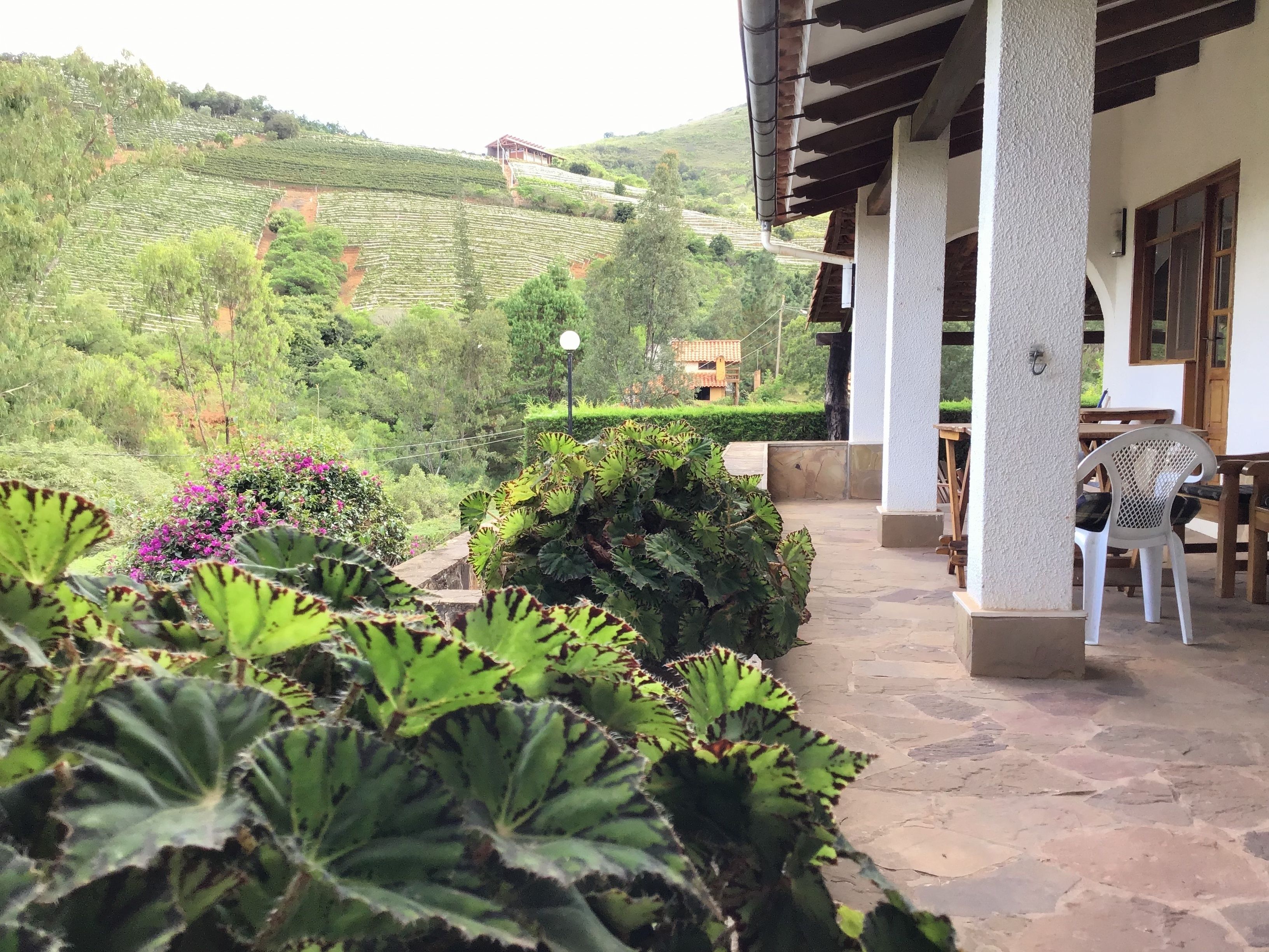 Cabin 13 | Terrace/patio