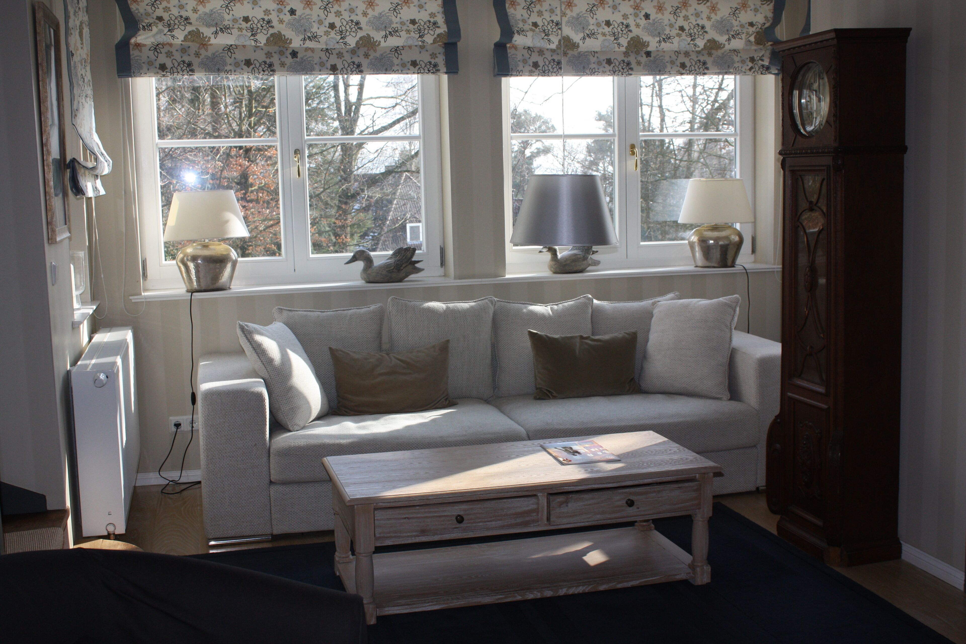 TV, fireplace, DVD player, books