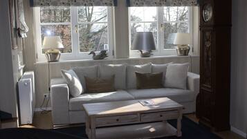 TV, fireplace, DVD player, books