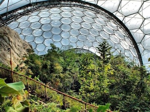 A large geodesic dome structure with a glass ceiling, surrounded by dense tropical vegetation. - Historic Chapel, Great Facilities nr Beaches (St Austell)