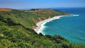 Un paisaje costero con una playa, colinas cubiertas de hierba y un cielo azul despejado.