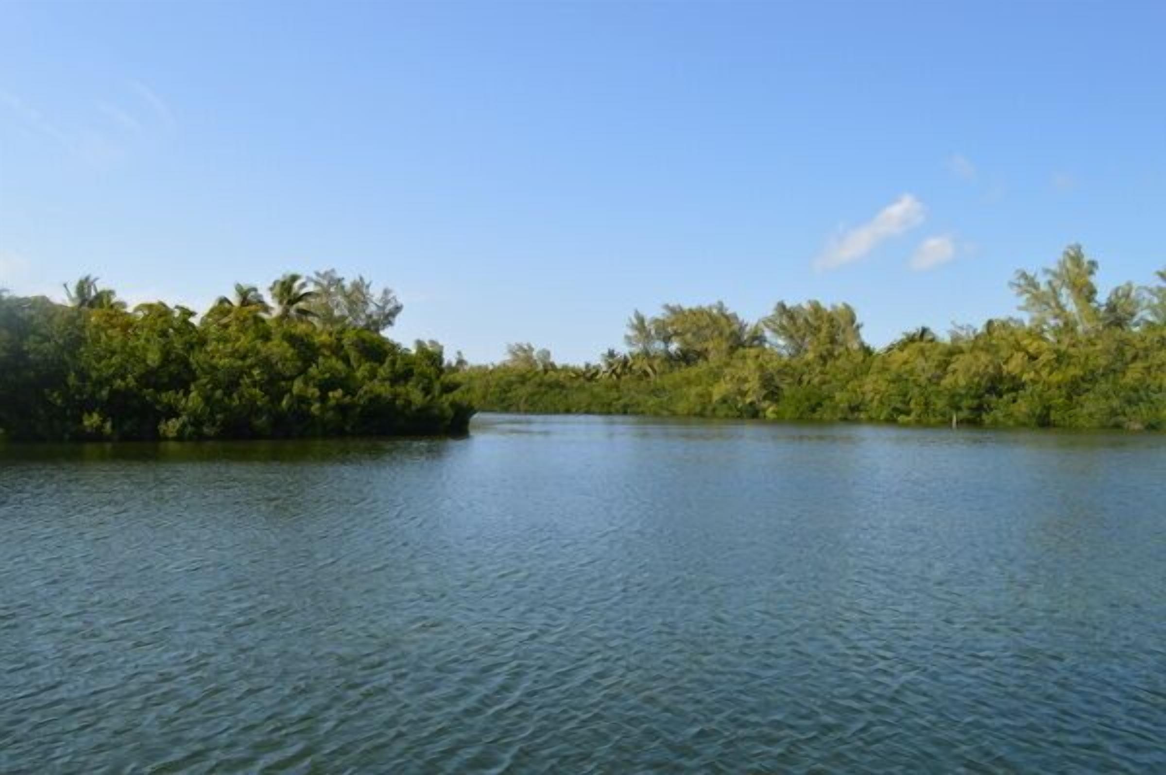 Lush Tropical Waterfront Oasis With Heated Pool, Dock And WiFi