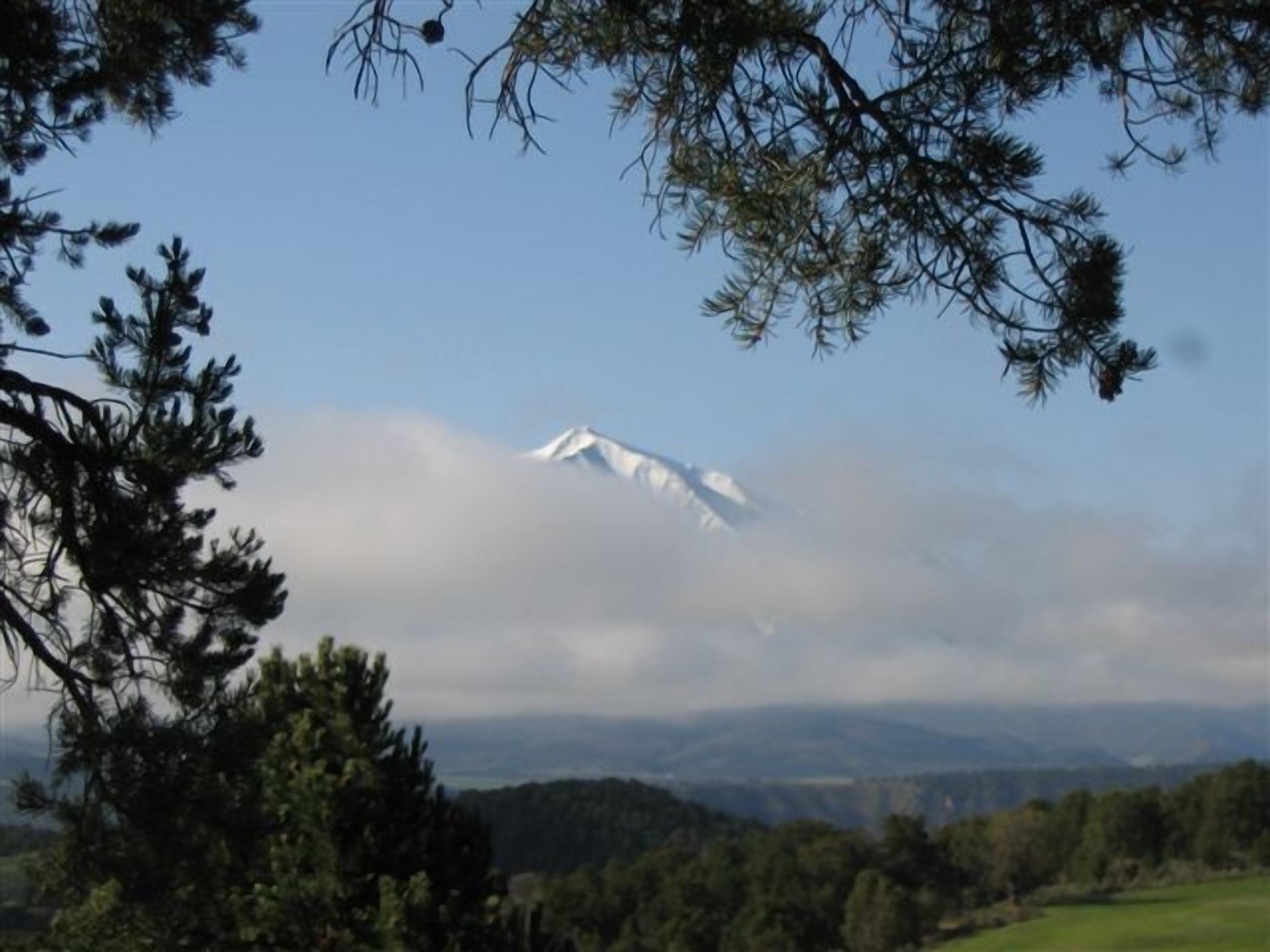 Amazing Mountain Hideaway 25 Minutes from Snowmass Ski Area