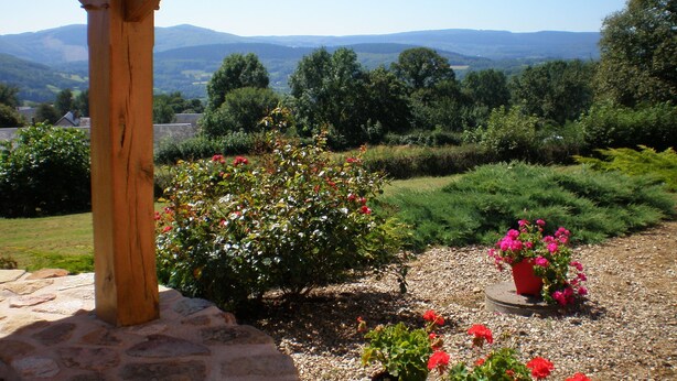 Un jardín con plantas en macetas y un sendero de piedra.