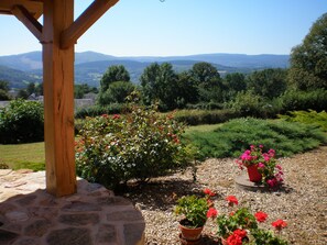 A garden with potted plants and a stone pathway.