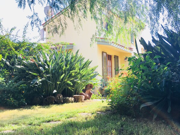 Un jardín con diversas plantas y un edificio de fachada amarilla y tejado rojo.
