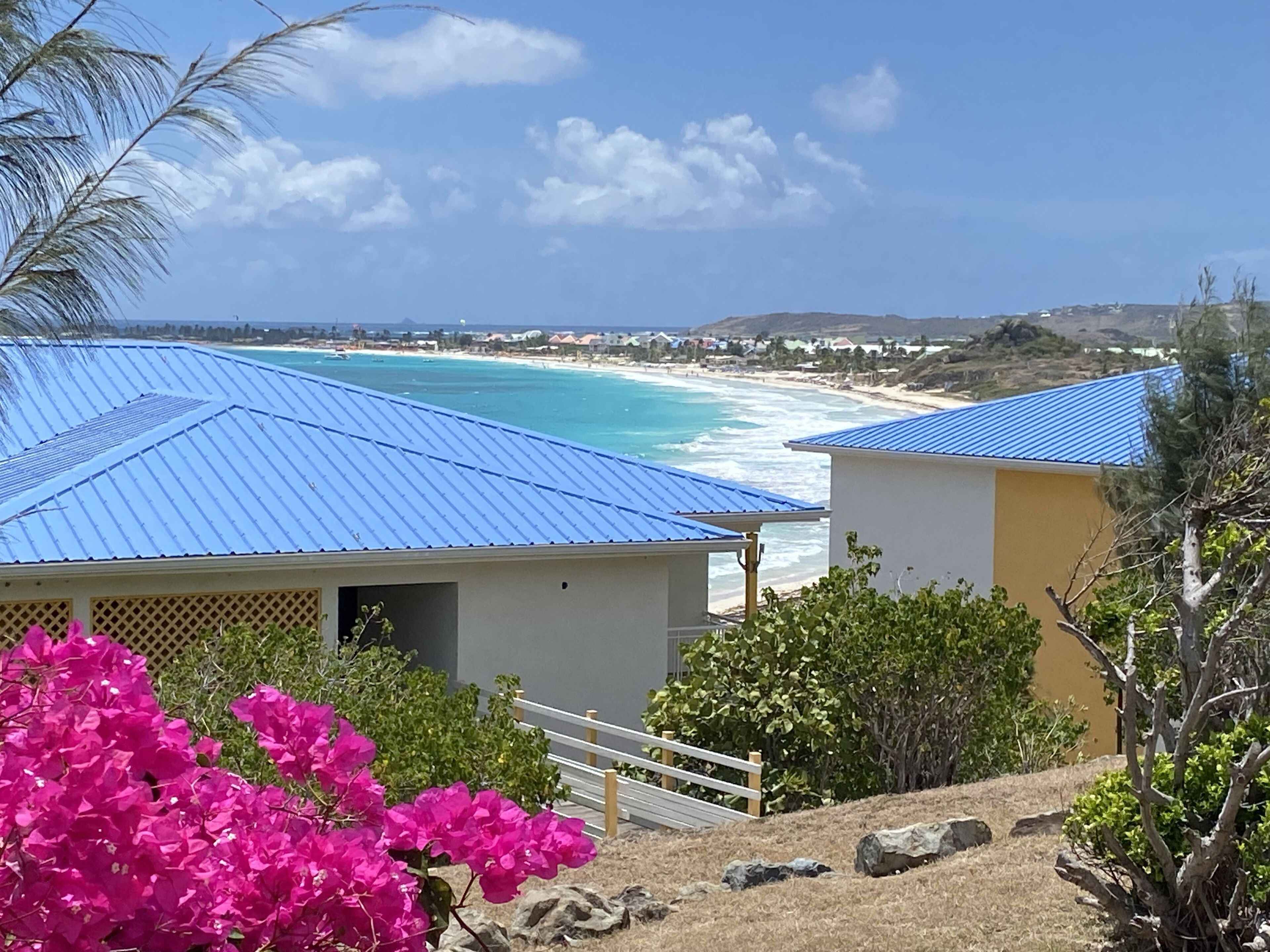 A coastal view with a beach, a building with a blue roof, and pink flowers in the foreground.