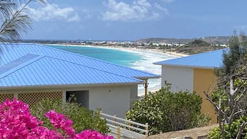 A coastal view with a beach, a building with a blue roof, and pink flowers in the foreground.