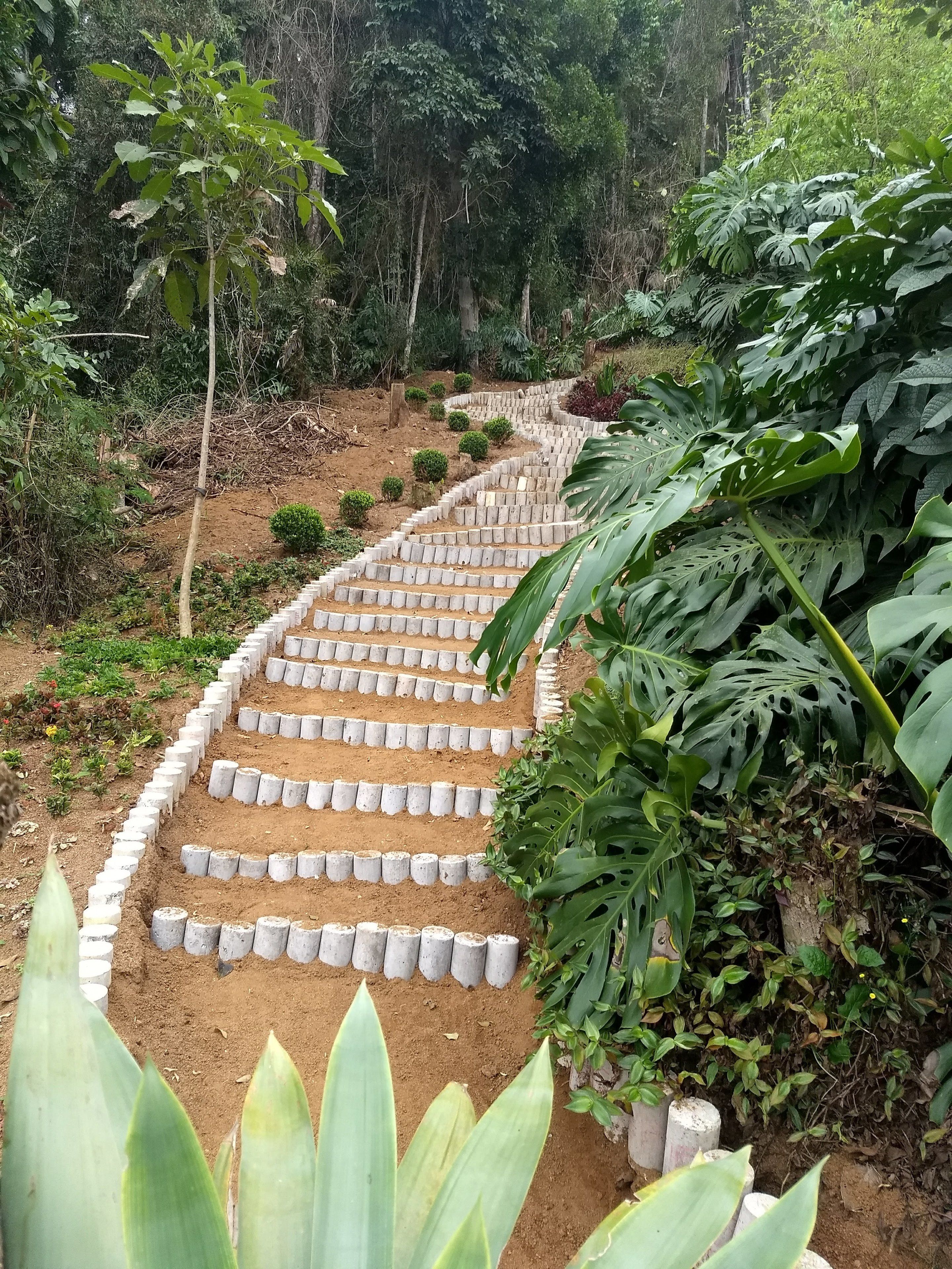 A garden pathway with steps made of concrete blocks, surrounded by lush greenery and various plants.
