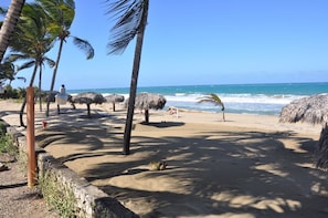 On the beach