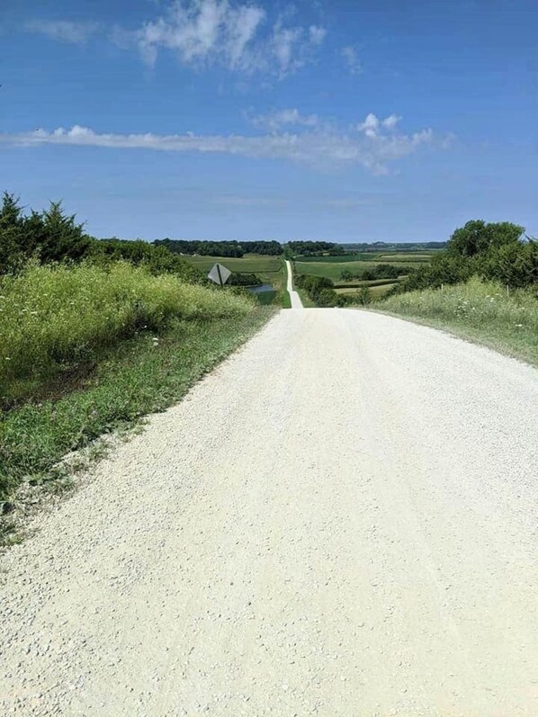 Une route de campagne à revêtement de gravier, bordée de champs couverts d’herbe et d’arbres.