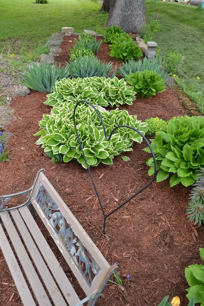 The Hen House Retreat - A Comfortable Place to Roost