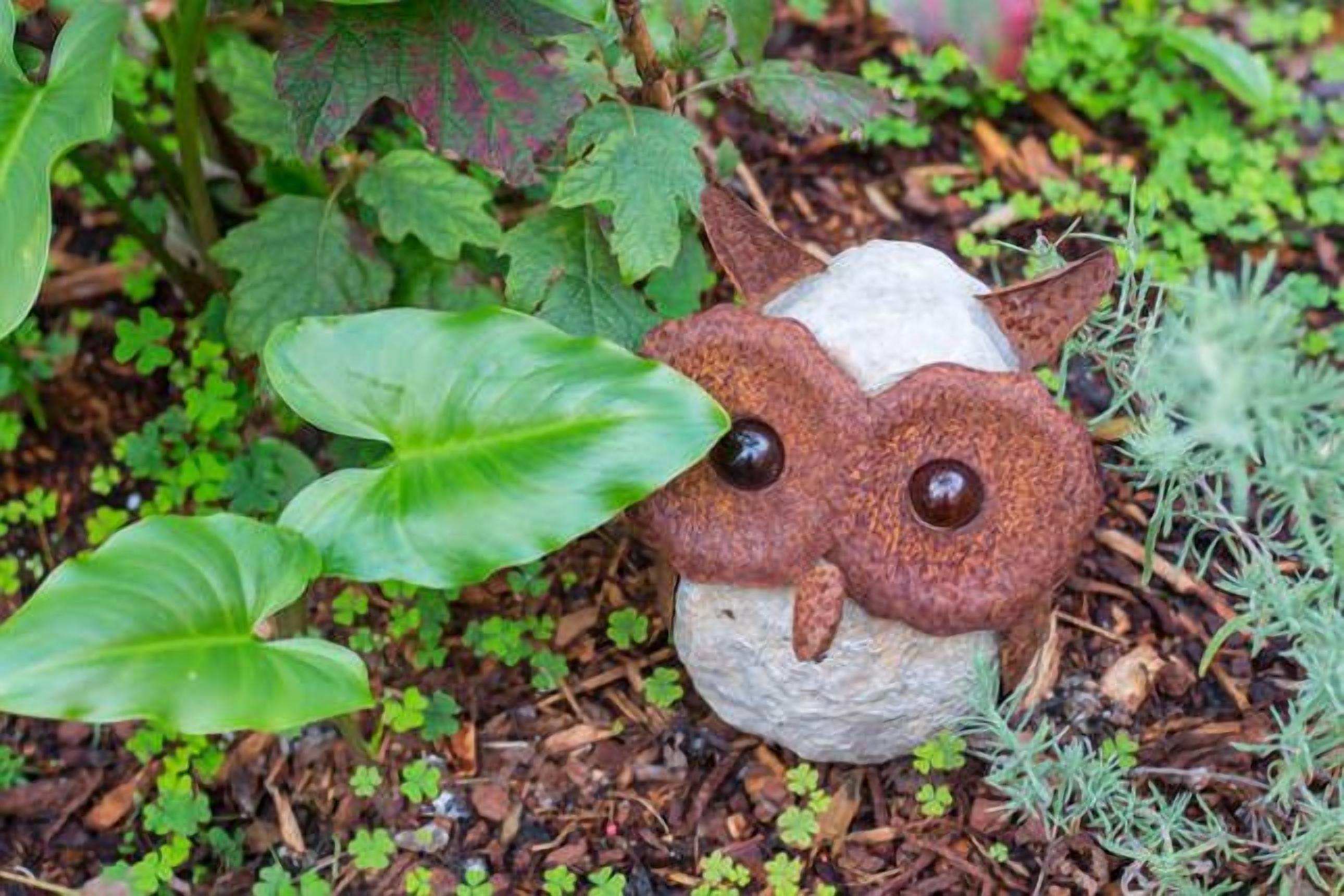 Jane Cottage 1855 - Tasmania — image 14