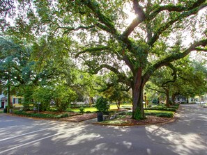 Overnattingsstedets uteområder