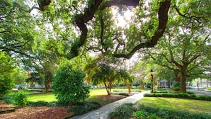 A park with a stone pathway, trees, and a bench.