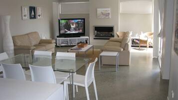 TV, fireplace, DVD player, books