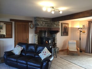 TV, fireplace, DVD player, books