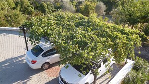 Une voiture blanche est garée sur une surface pavée, avec un arbre en premier plan.