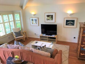 Smart TV, chimenea y libros