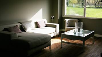 Televisio, takka, DVD-soitin, pöytÀjalkapallopöytÀ