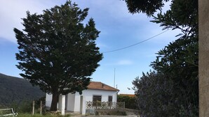 Un edificio blanco con tejado de tejas, rodeado de follaje y un camino curvo.