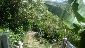 A garden pathway leading to a bench, surrounded by lush greenery and a large banana plant. - Bottom of villa for rent in diamond (F3) (Diamant)