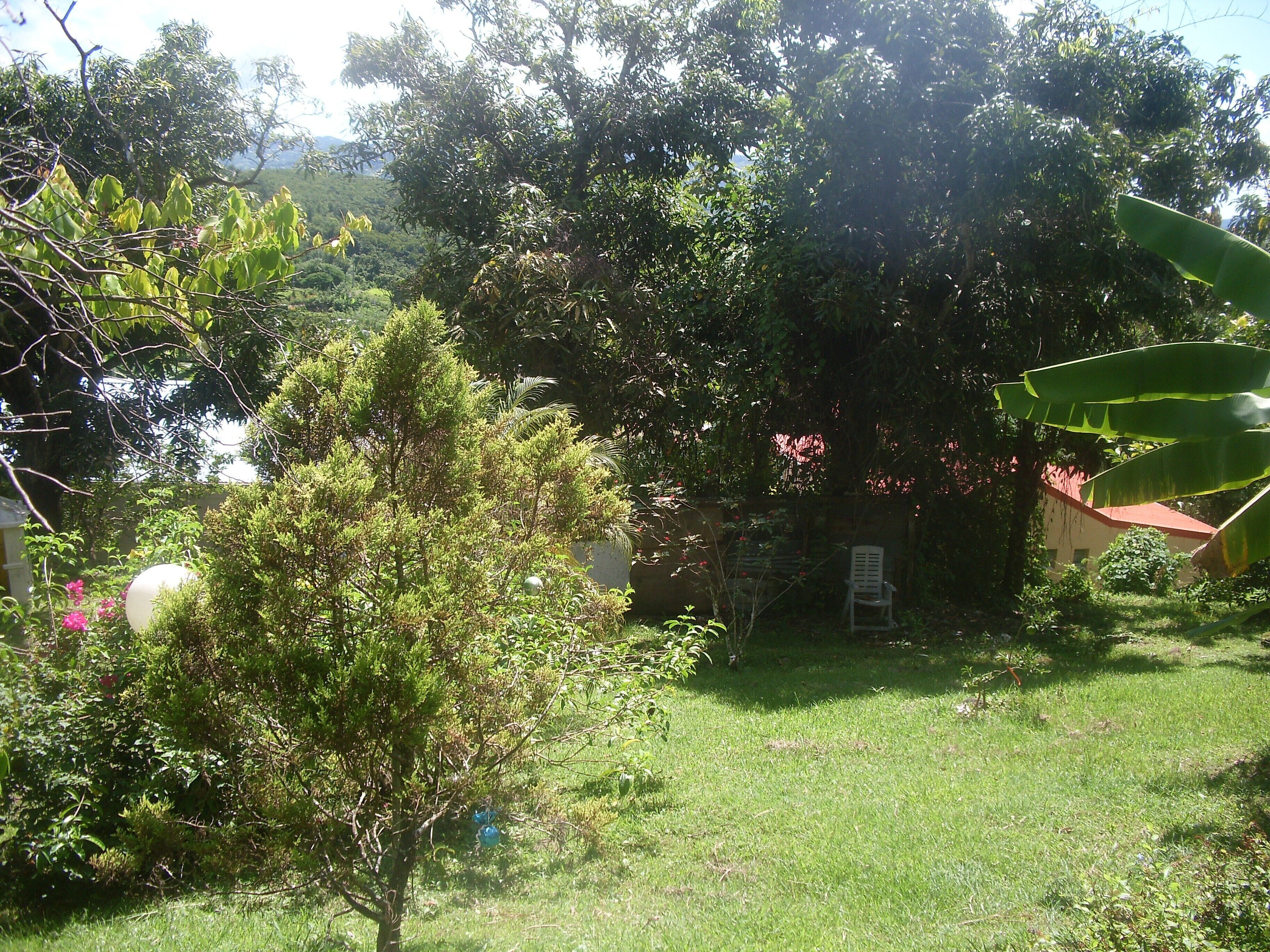 A lush garden with various trees and a small white building with a red roof.