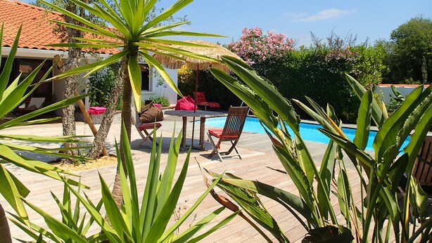A poolside area with a wooden deck, red lounge chairs, and a thatched umbrella.