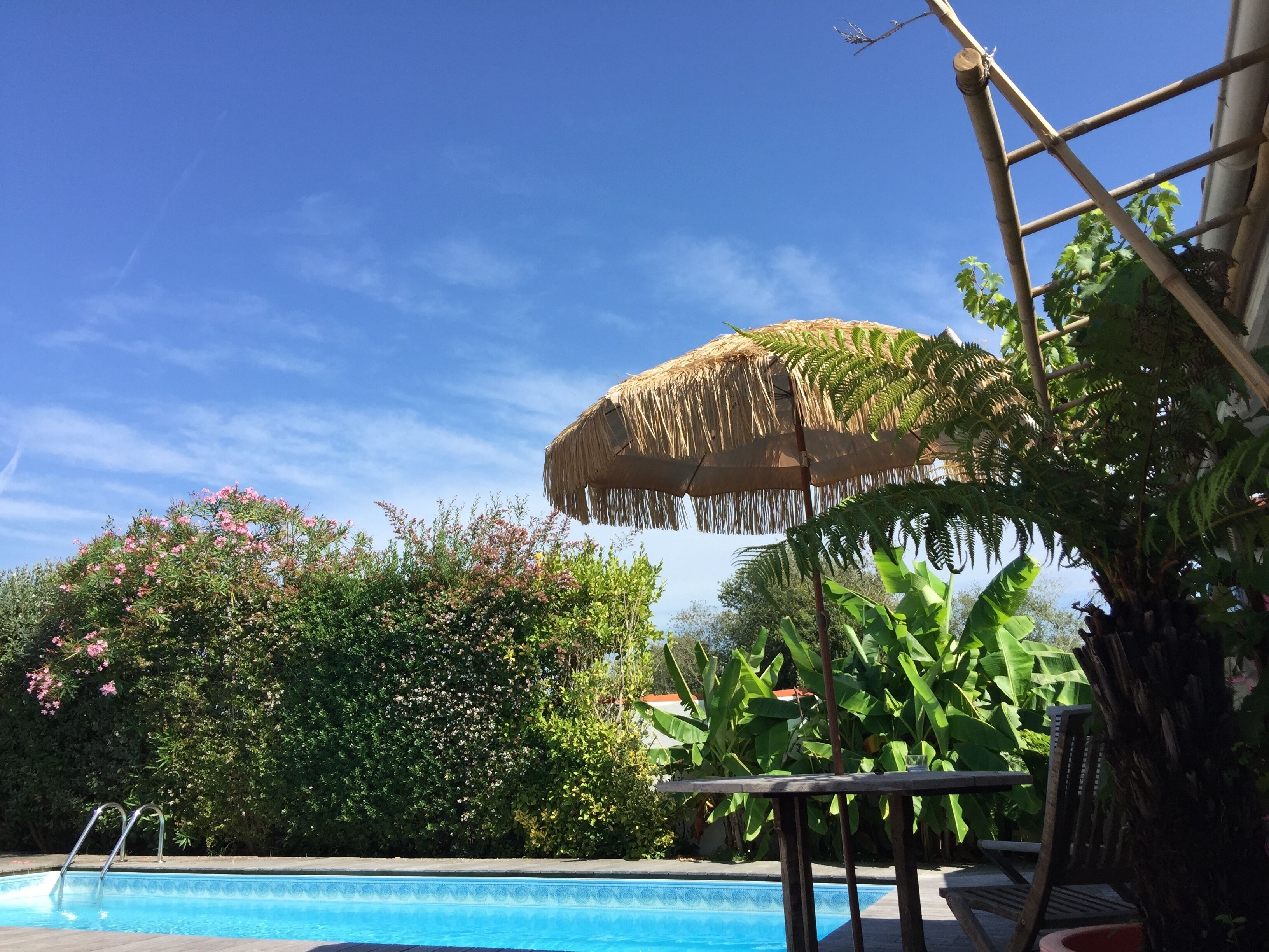 En swimmingpool med ett parasoll av halmtak, omgiven av frodig grönska och en klarblå himmel.