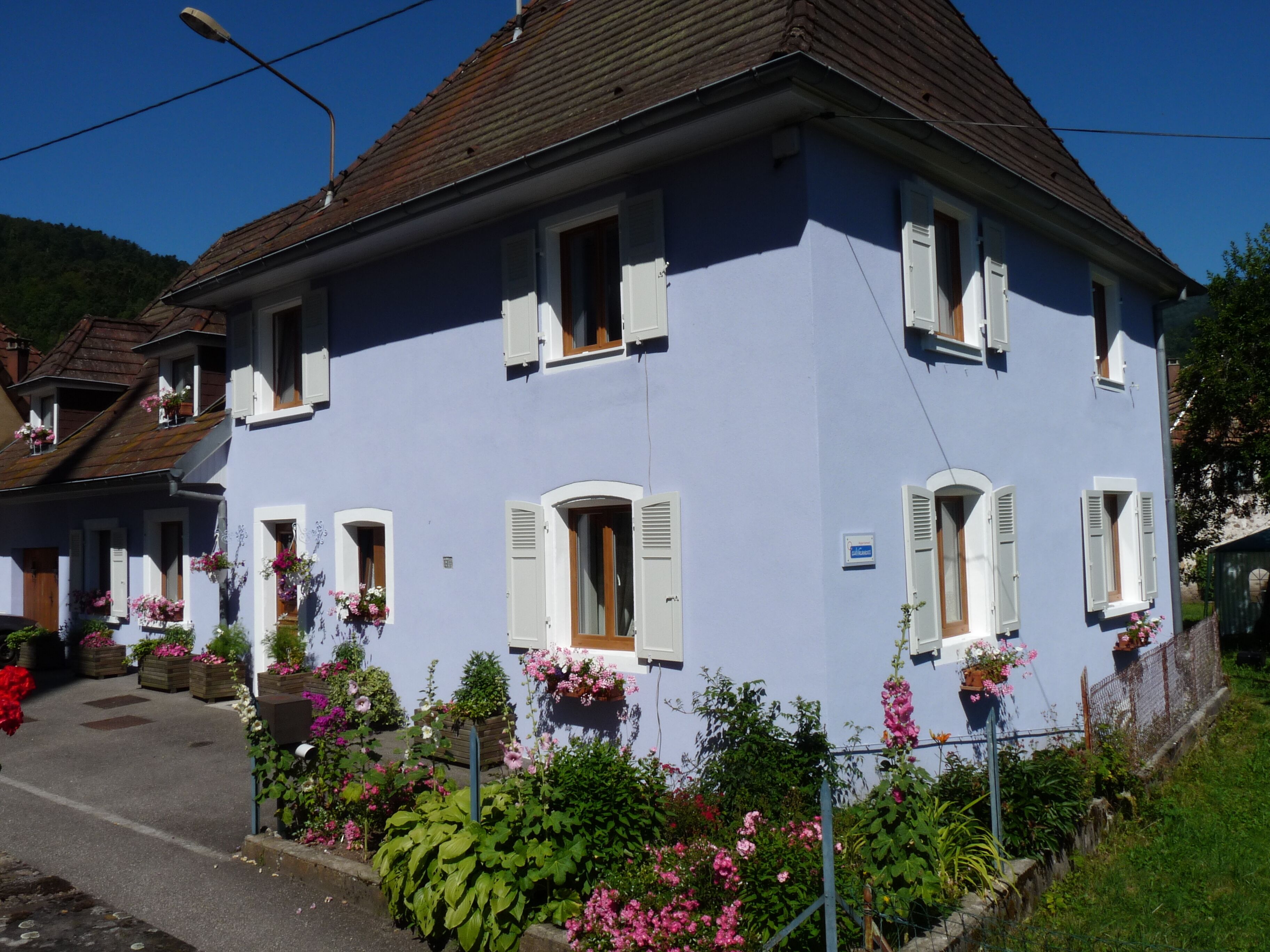 charming gite, on the ground floor, in the heart of the Vosges at the foot of the Ballon d'Alsace