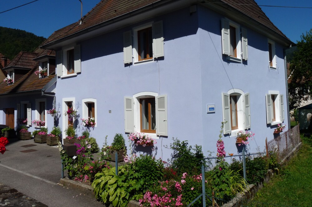 charming gite, on the ground floor, in the heart of the Vosges at the foot of the Ballon d'Alsace
