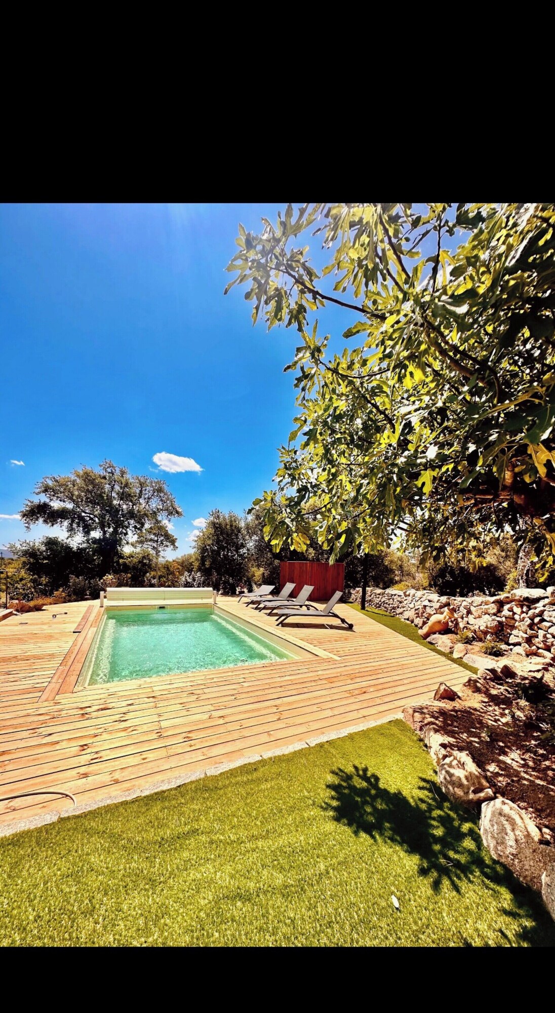 Imagen de perfil del propietario o de la propietaria