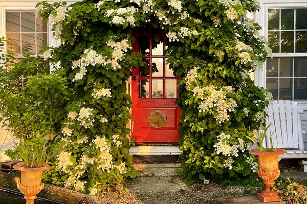 Details aan de buitenkant