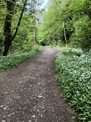 Overnattingsstedets uteområder