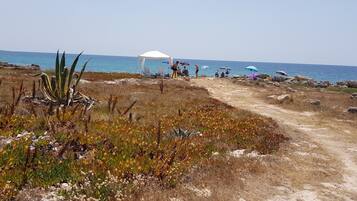 Beach nearby, sun loungers