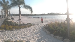 Una playa arenosa con palmeras y una vista despejada del agua.