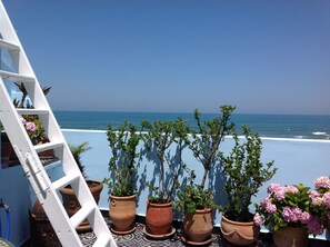 Ein Balkon mit Blumentöpfen und Blick auf den Ozean.
