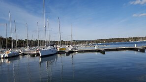 Ein Yachthafen mit mehreren Segelbooten, die an der Pier festgemacht sind.