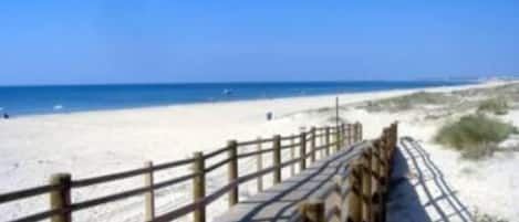 Nära stranden
