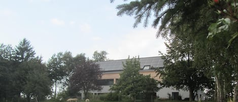 Terrein van de accommodatie