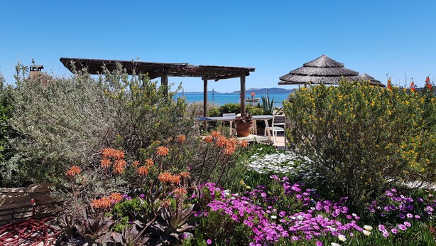 Un jardín con diversas plantas y flores, una pérgola y una estructura de paja.