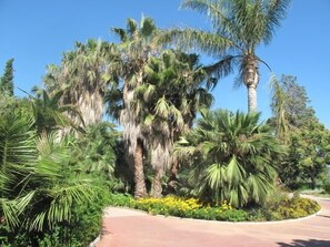 Un giardino curato con palme e fiori gialli, un vialetto lastricato e un cielo azzurro intenso.