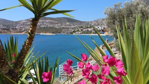 A coastal view with a clear blue sea, a palm tree, and pink flowers in the foreground. - Town Centre Penthouse Apartment With Two Sea View Private Roof Terraces (Kalkan)