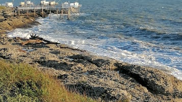 Playa en los alrededores