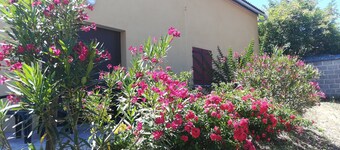 Apartment for 4 people in the vineyard