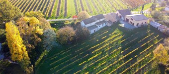 Apartamento para 4 personas en el viñedo