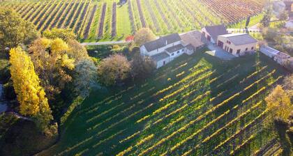 4-person apartment in the heart of the vineyards