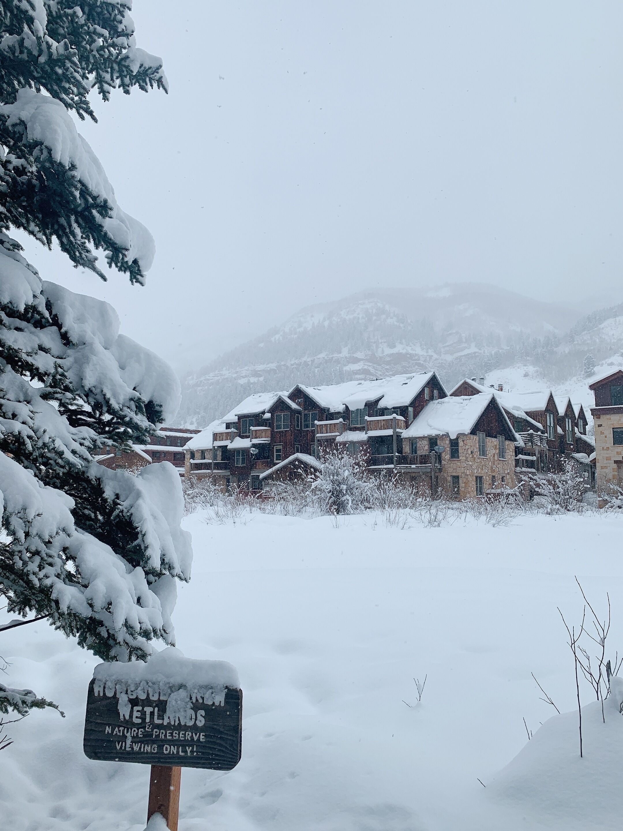 Mountain & Water Views! Walk everywhere (no car needed)