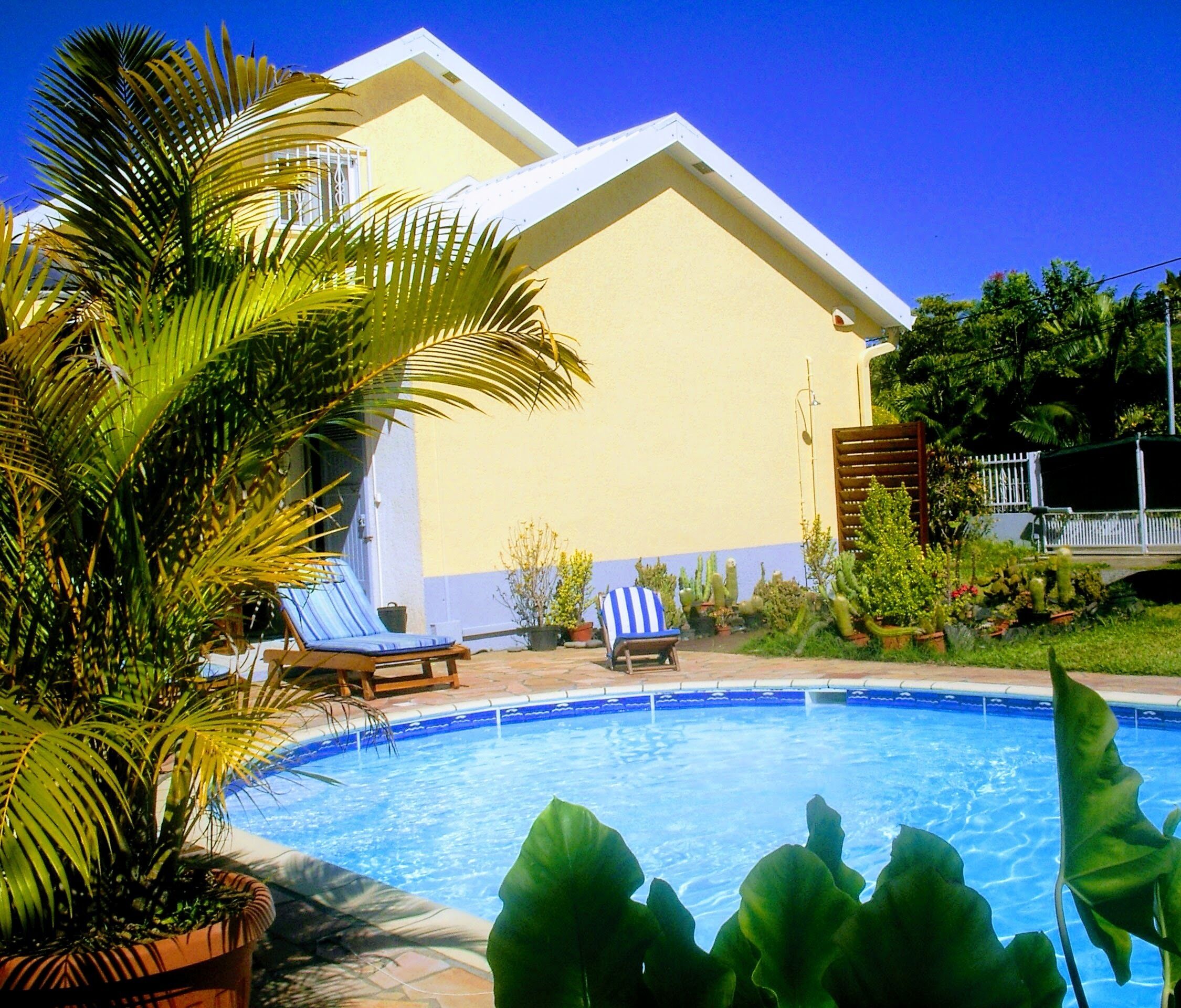 A swimming pool with lounge chairs and potted plants.
